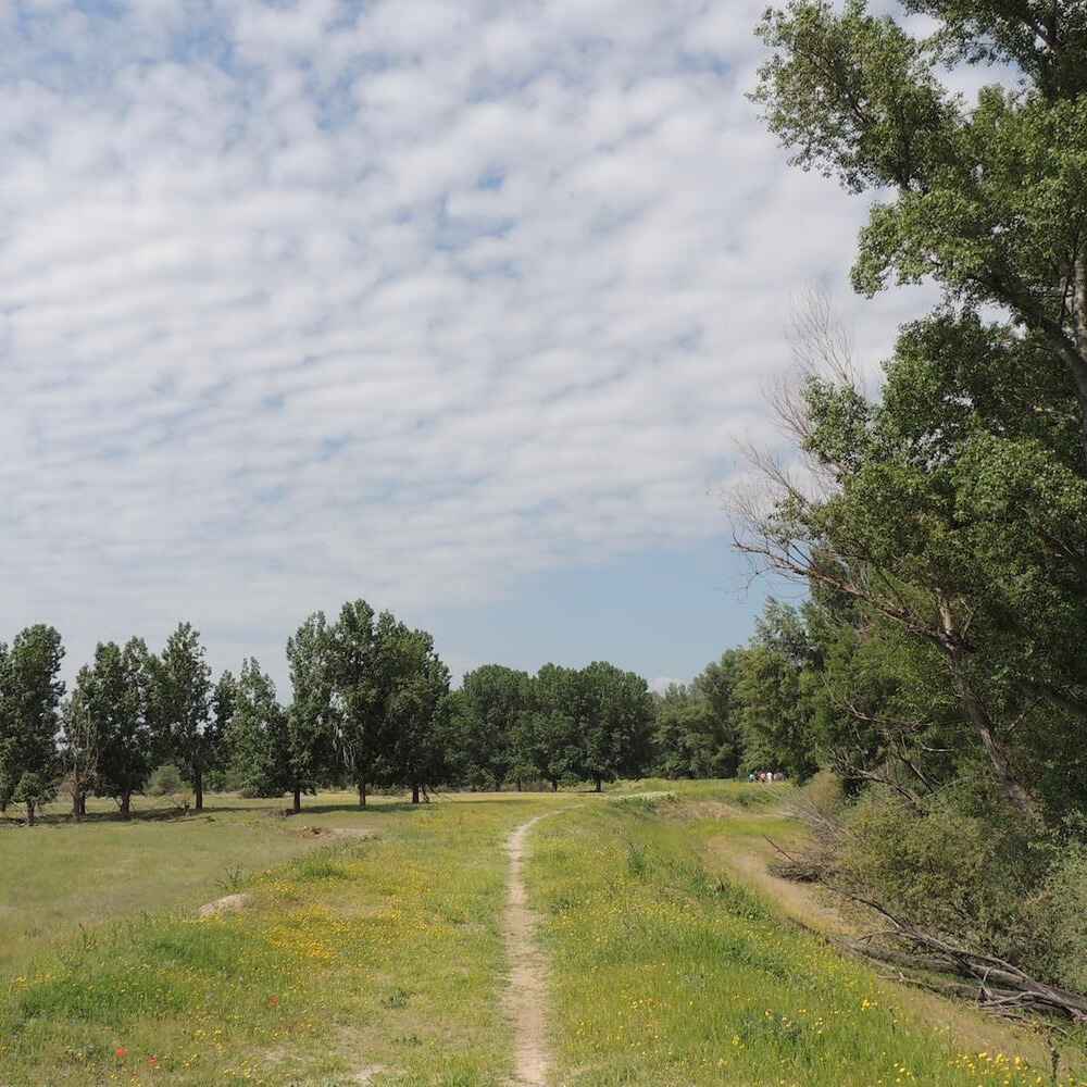 ruta de senderismo de lagunas y belvis de jarama