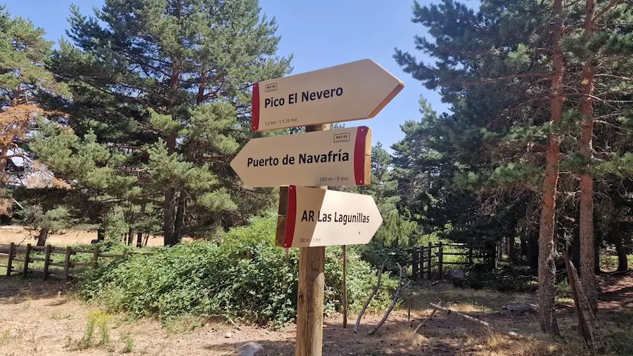 flechas de roi del parque de sierra de guadarrama